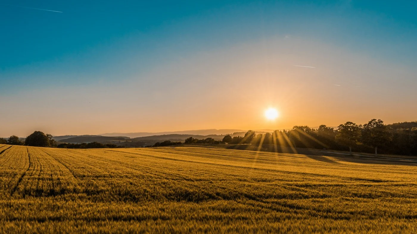 Open green farmland photographed from above
